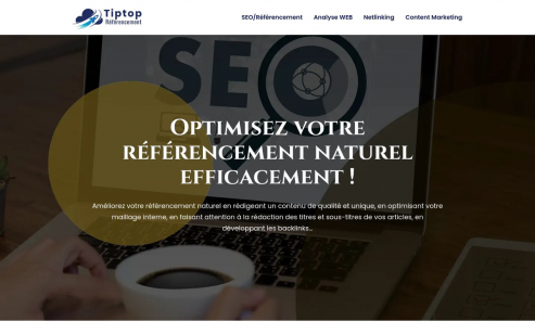 https://www.tiptop-referencement.com